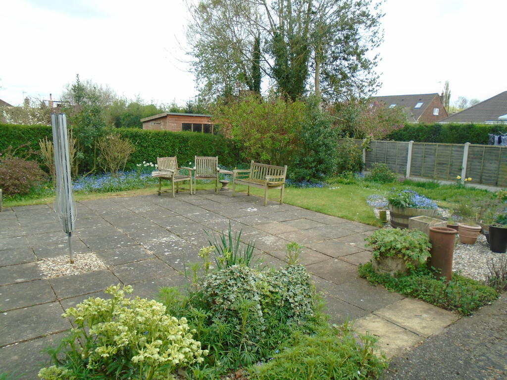 Rear garden/patio