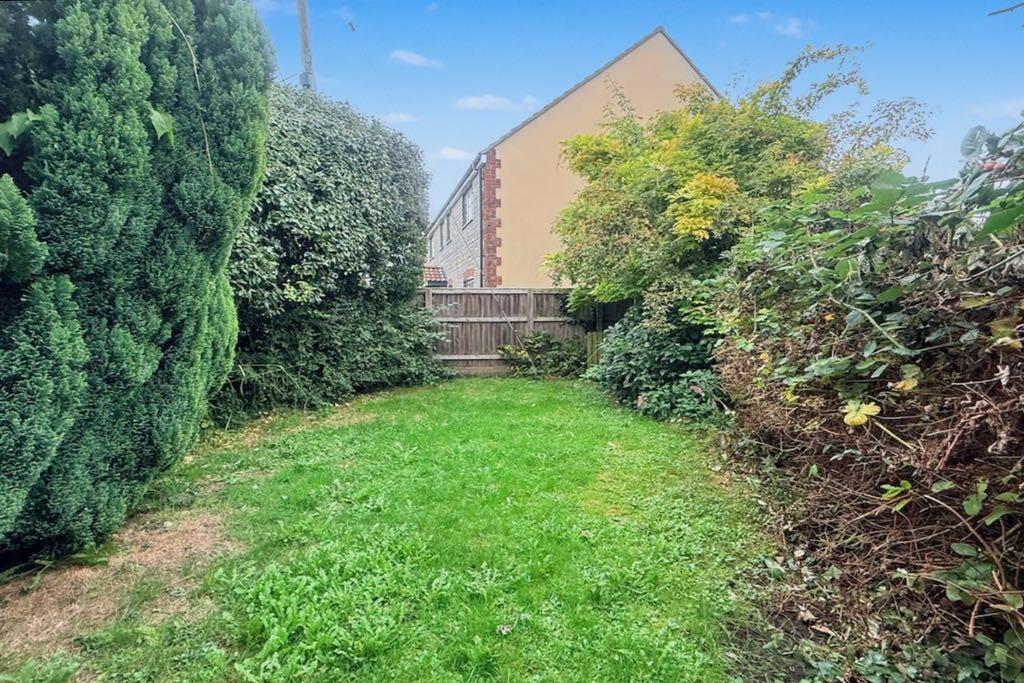 IMG_6047 (Portal Size).jpeg