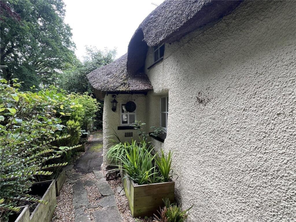 The Front