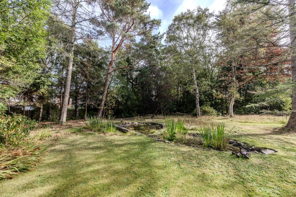 5TheRise-DarrasHall-NE209LJ-55