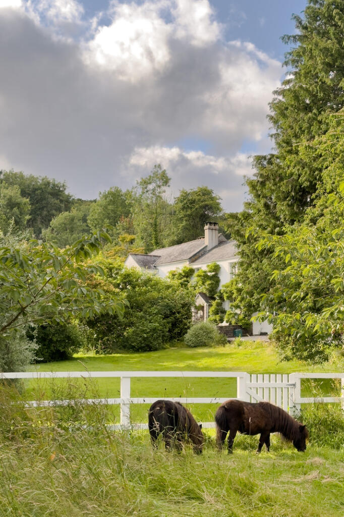 275529 - 20240706-IMG_6622_HI_RES.JPG