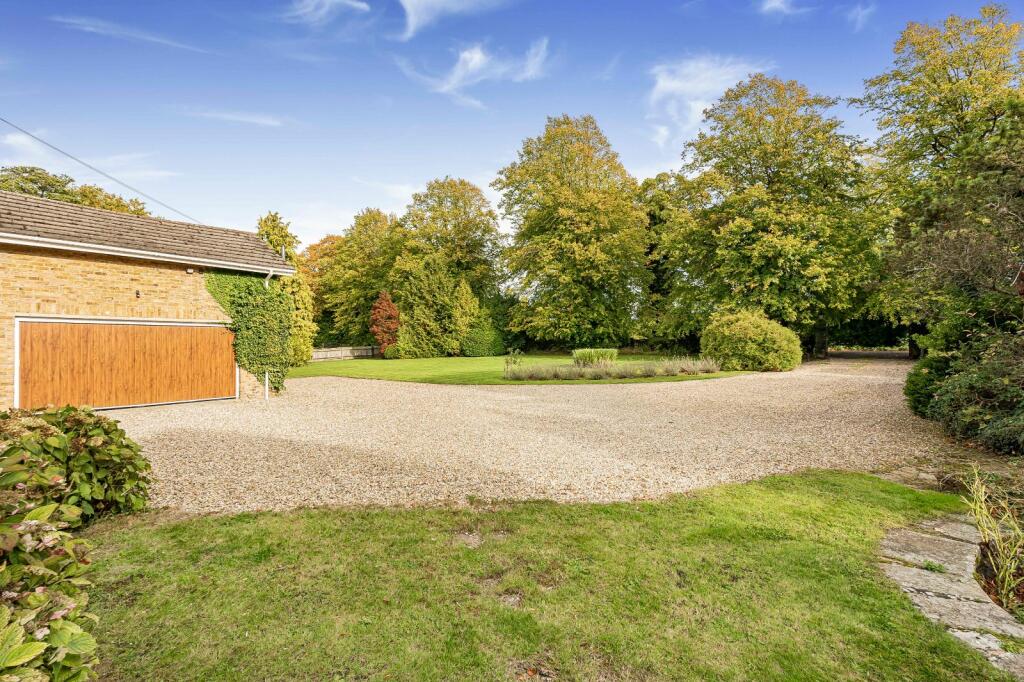 Front Garden &amp; Drive