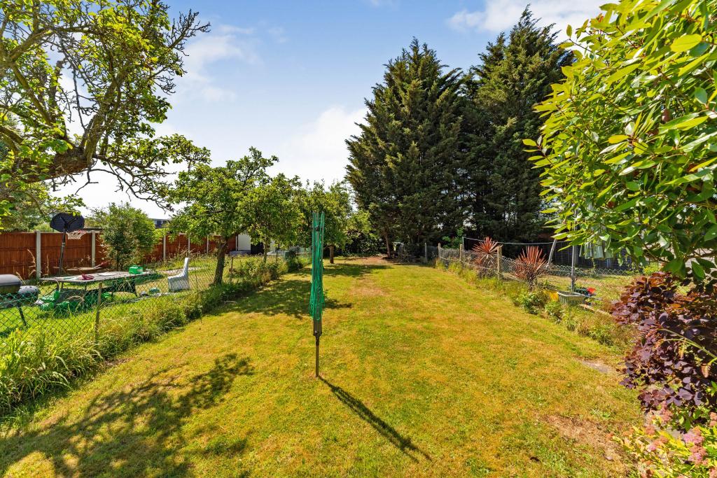 Mature Garden