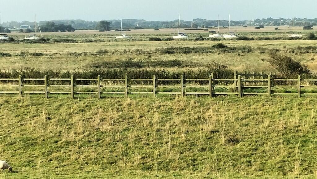 View from loft ma...