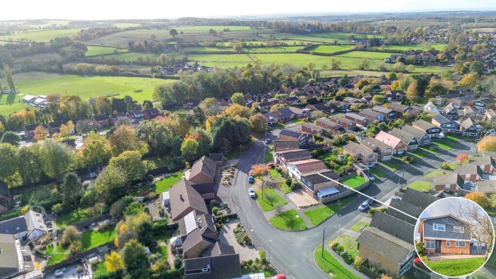 DJI_0272.jpg