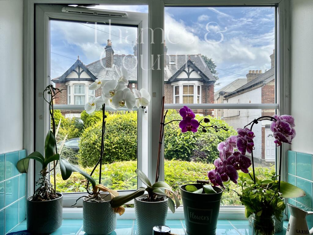 view from Kitchen