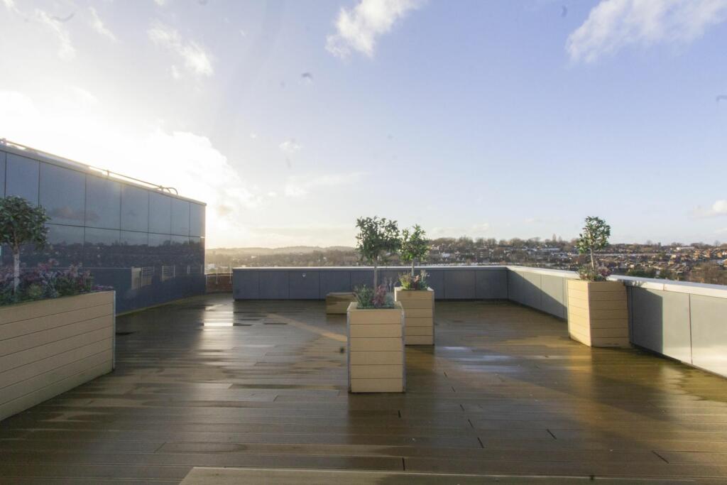 Roof Terrace