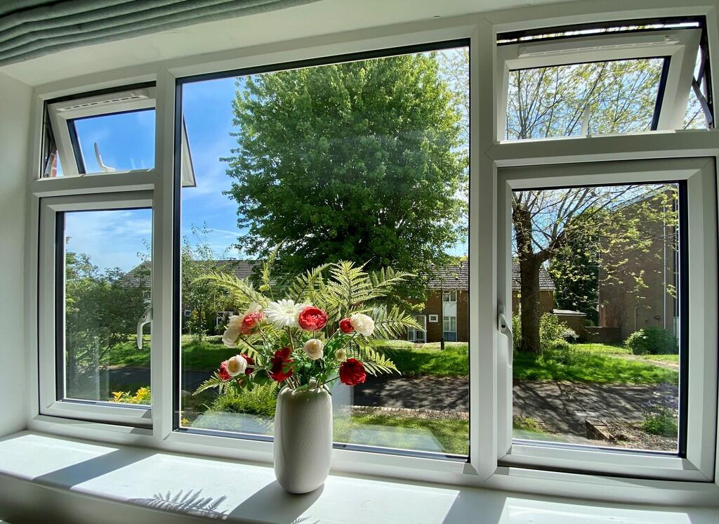 Living Room Windo...