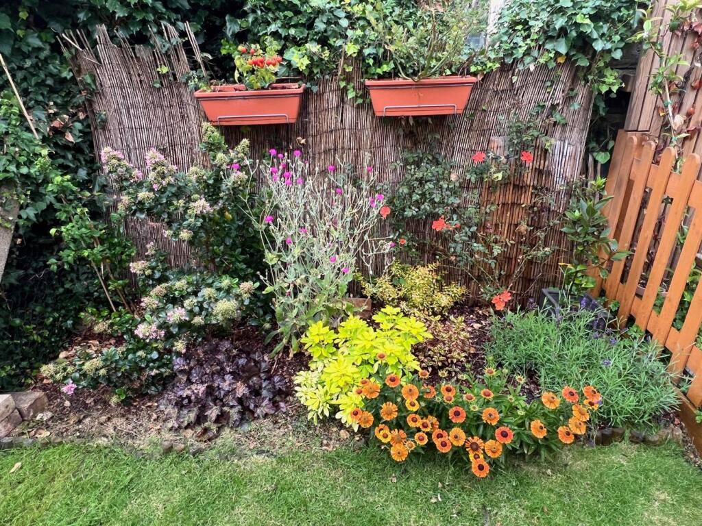 Brettenham Road, E17
