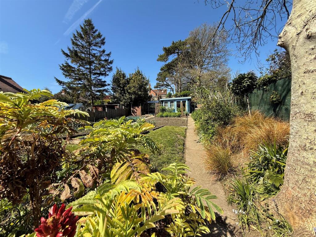 Rear Garden 2.jpg