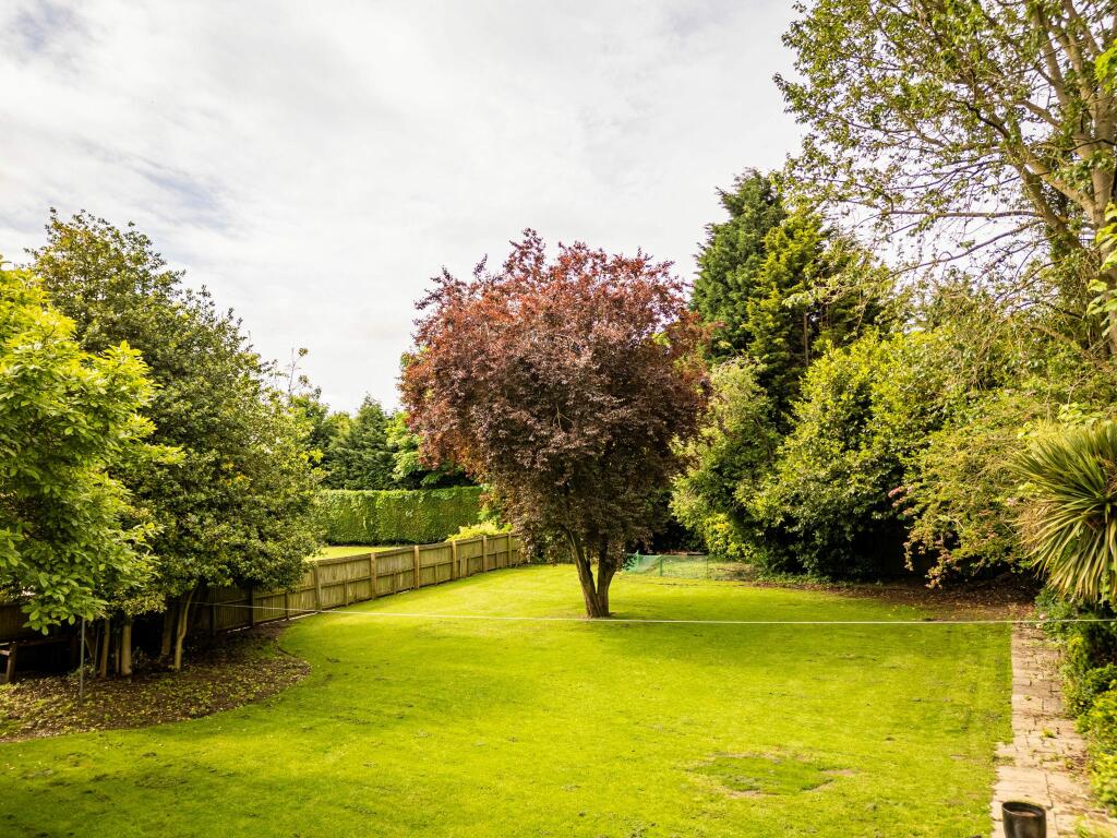 Rear garden