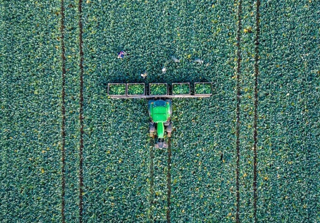 Farmland