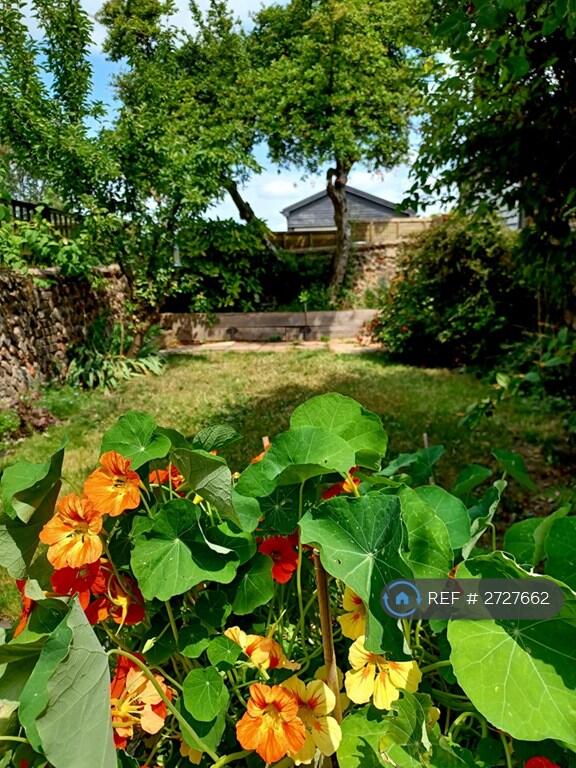 Garden In Summer 2023