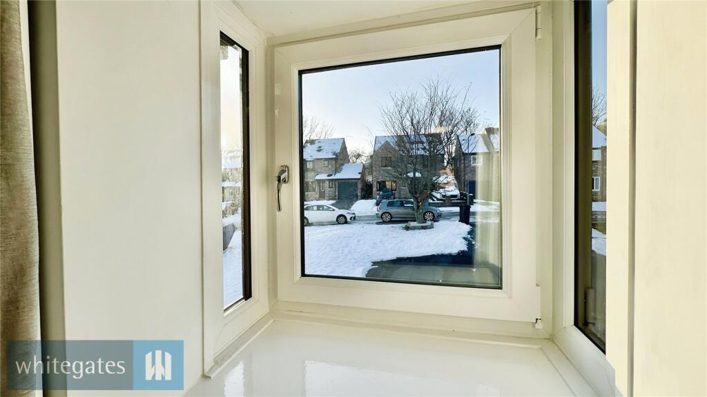 Feature Window