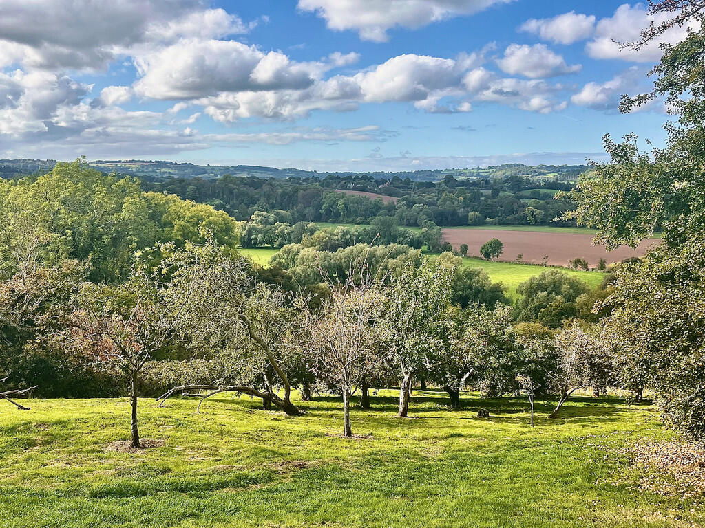 Sunningdale_orcha...