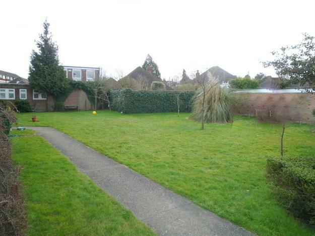 Garden.JPG