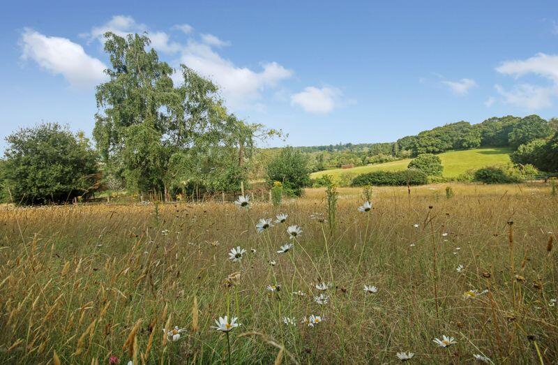 Paddocks