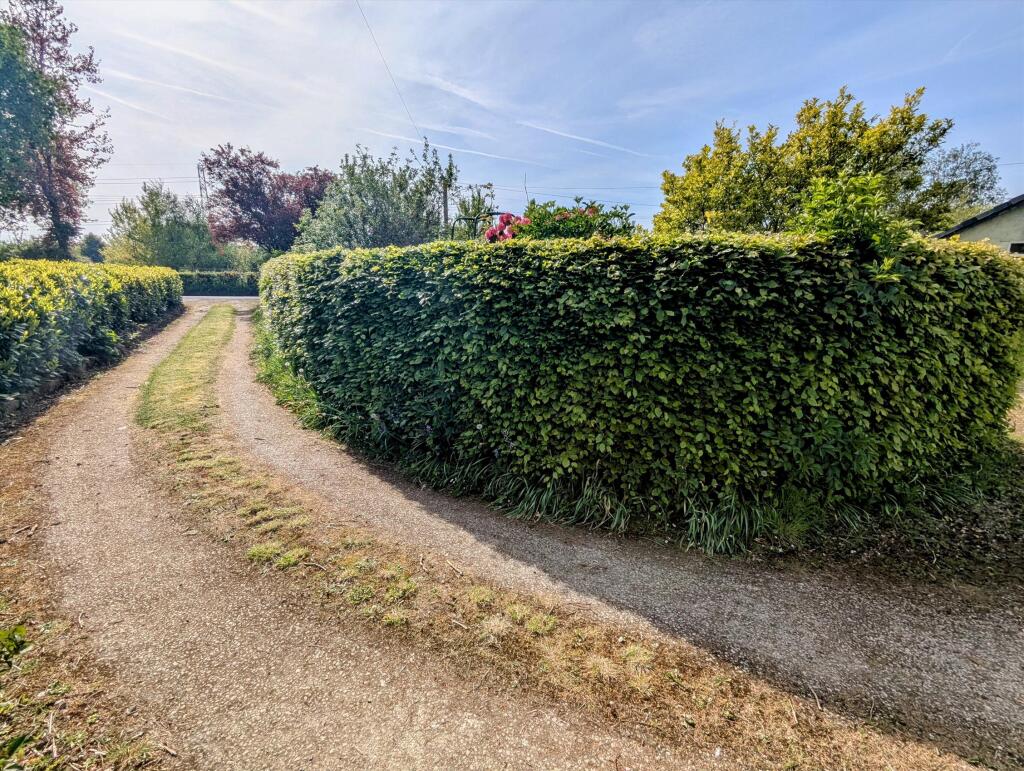 Driveway