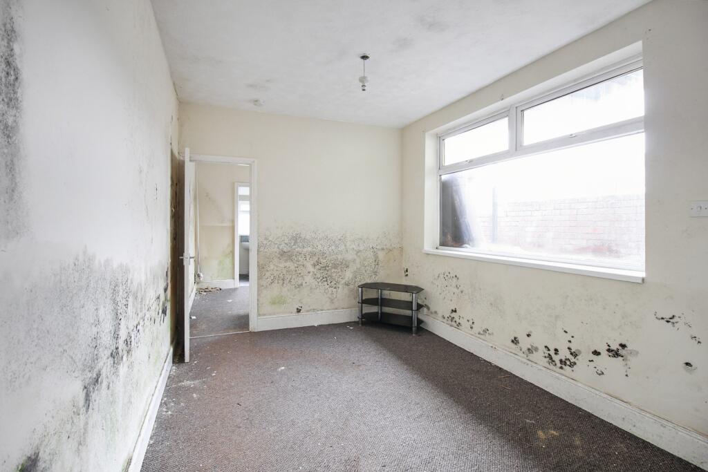 20251115053804 IMG 4451 PsEQ3 T202511171854.jpg