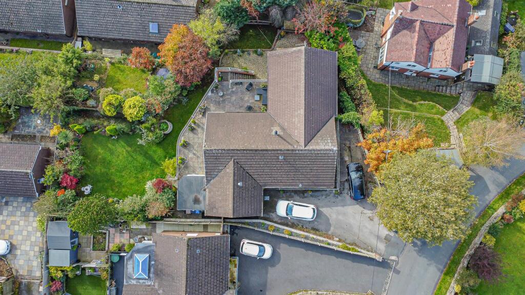 DJI_0847.jpg