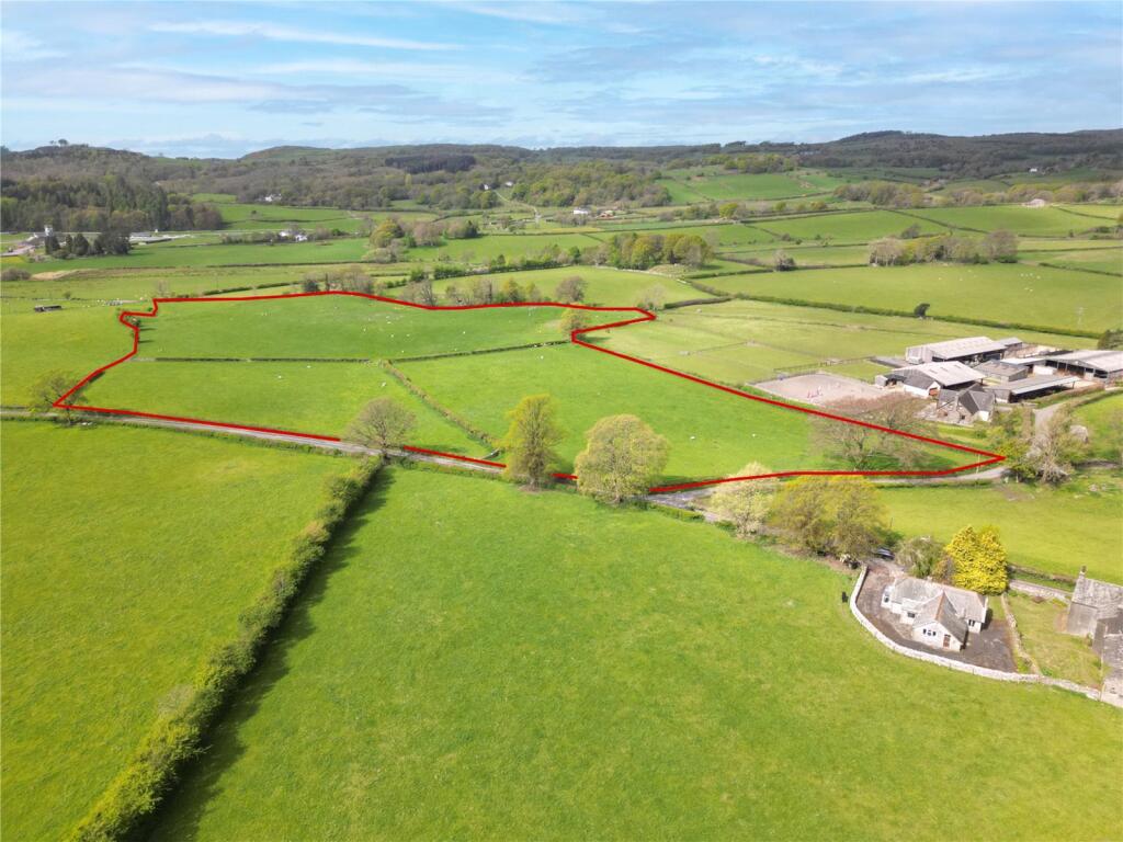 Lot 5