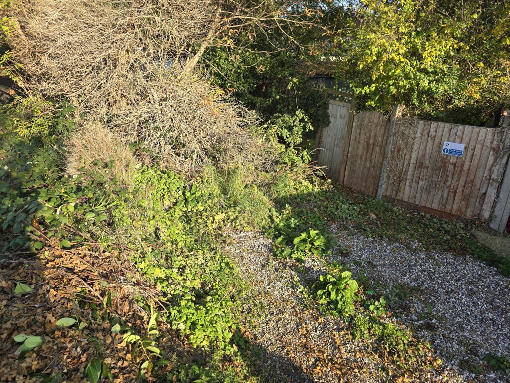 1000318893 T202511101020.jpg