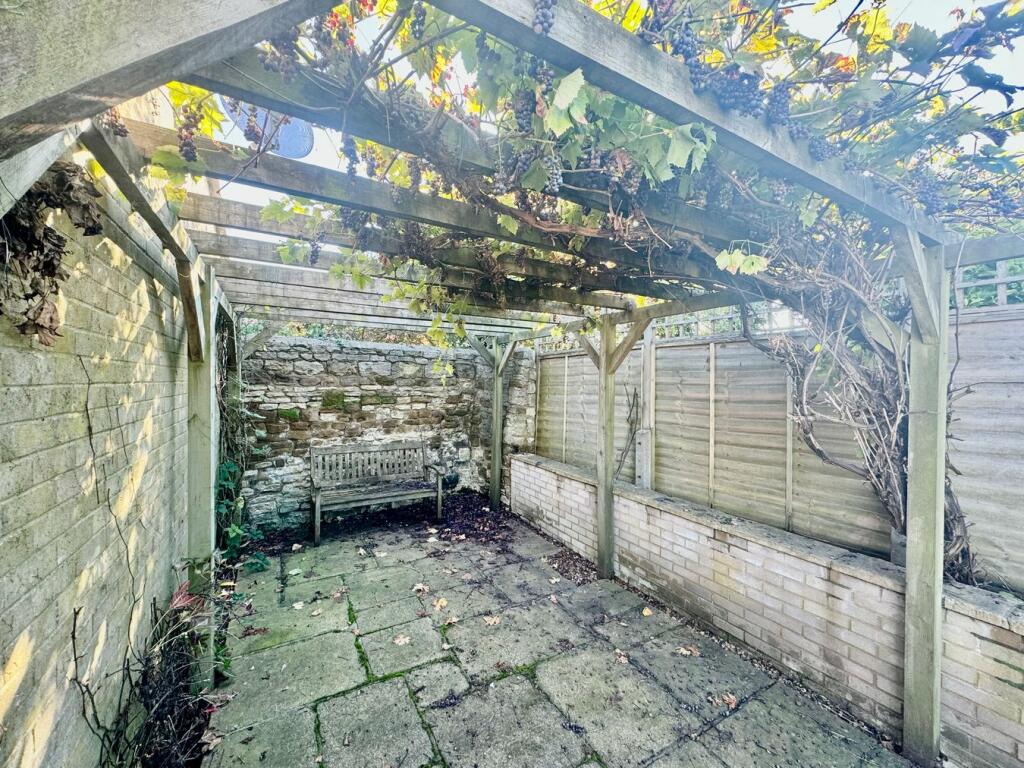 Pergola with Grape Vine