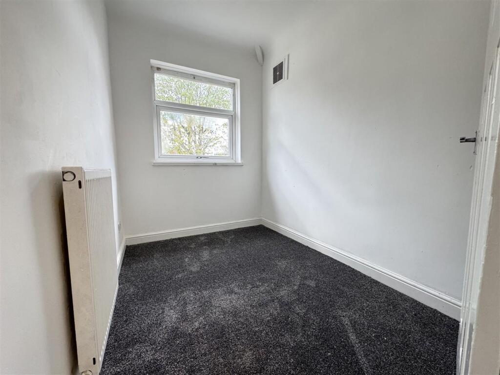 IMG_4125 (Large).JPG