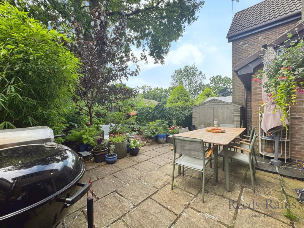 Patio Area