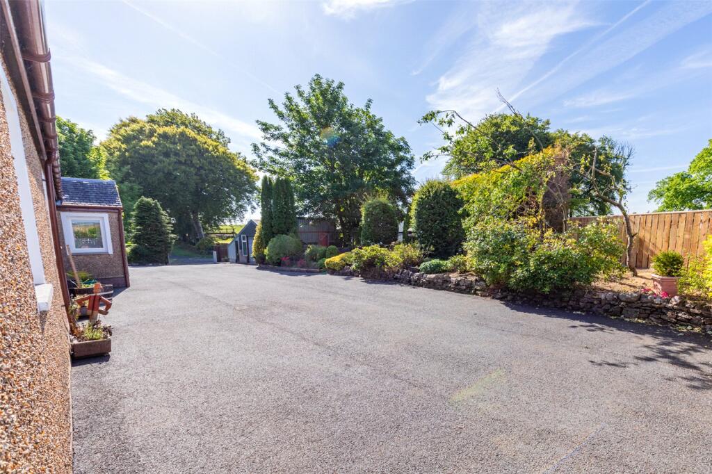 Front Dirve/Garden