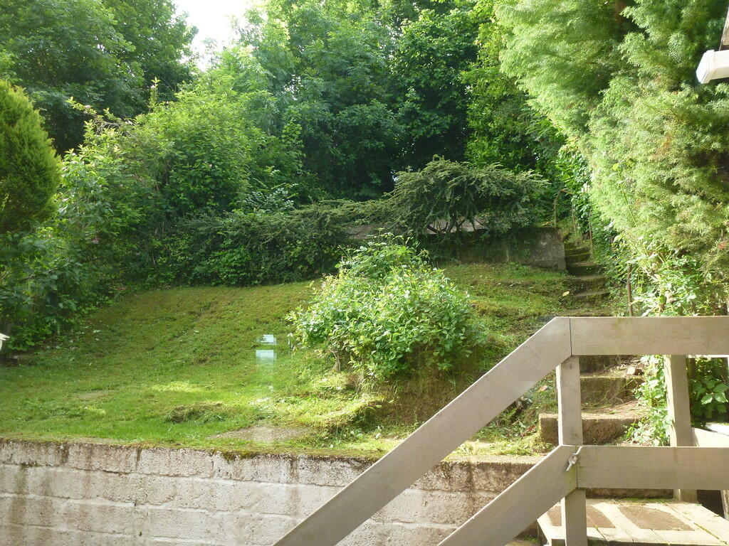 P1010123 garden