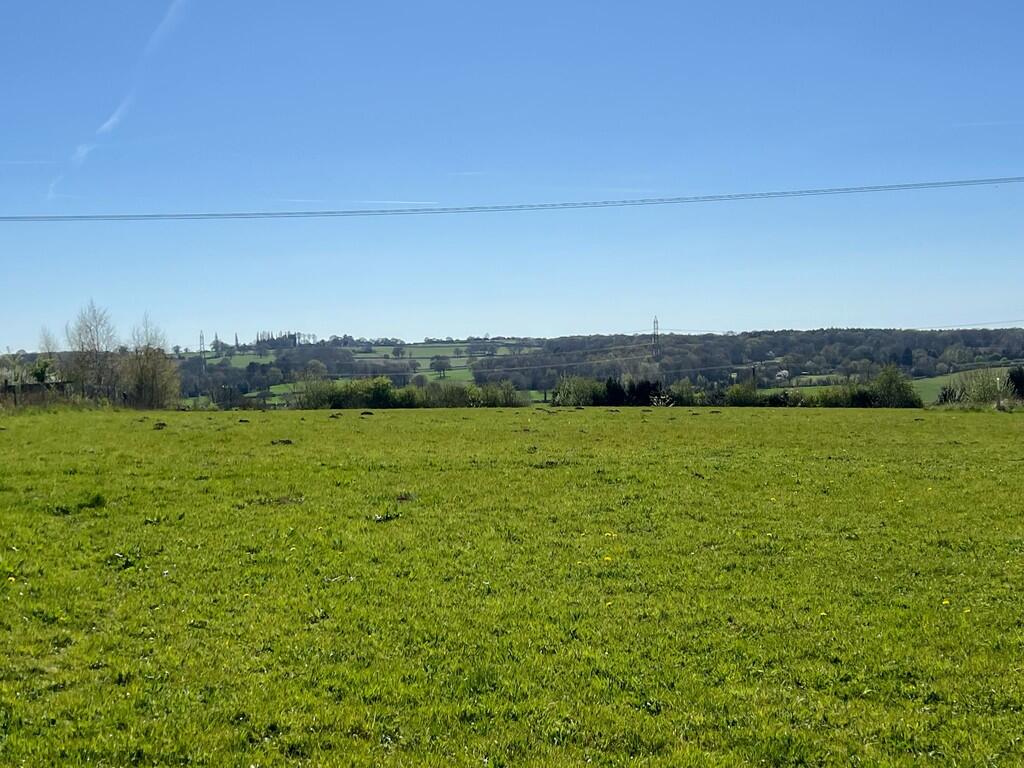 IMG-20250408-WA00...