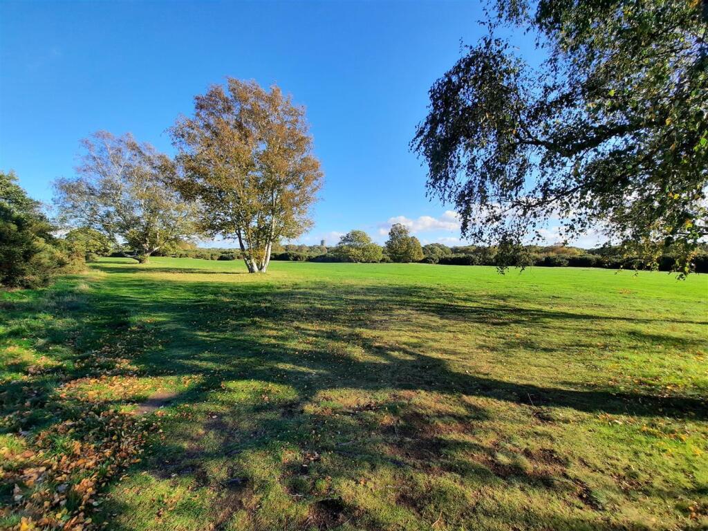 Scenes of Rushmere Heath