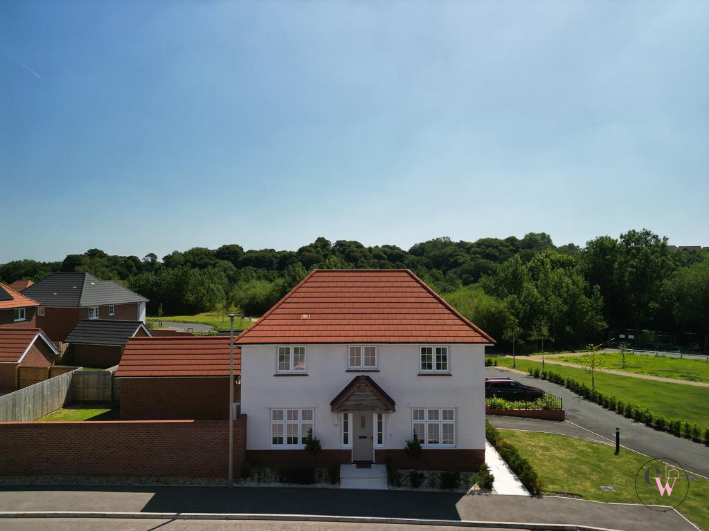 DJI_0893.jpg