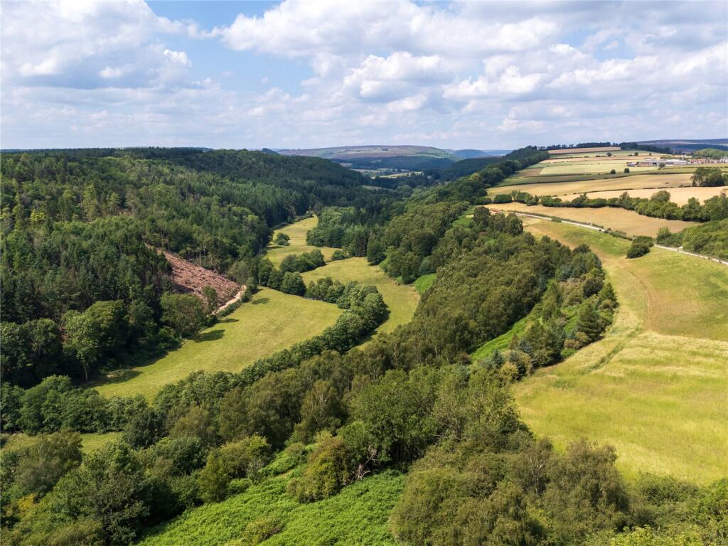 Douthwaite Dale