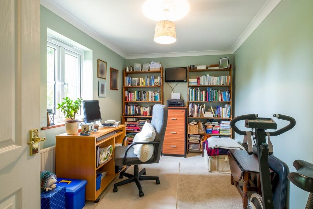 1440px-Hedgehogs-...