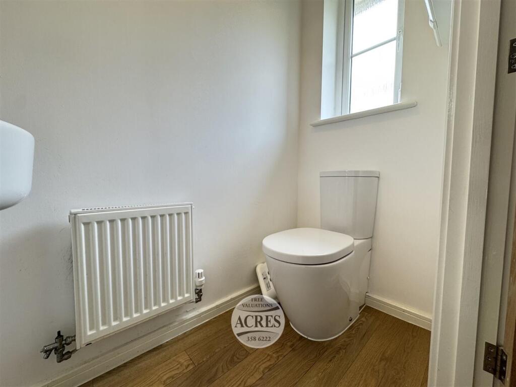 IMG_3940 (Large).jpg