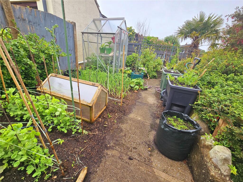 Veg Plot &amp;greenhouse