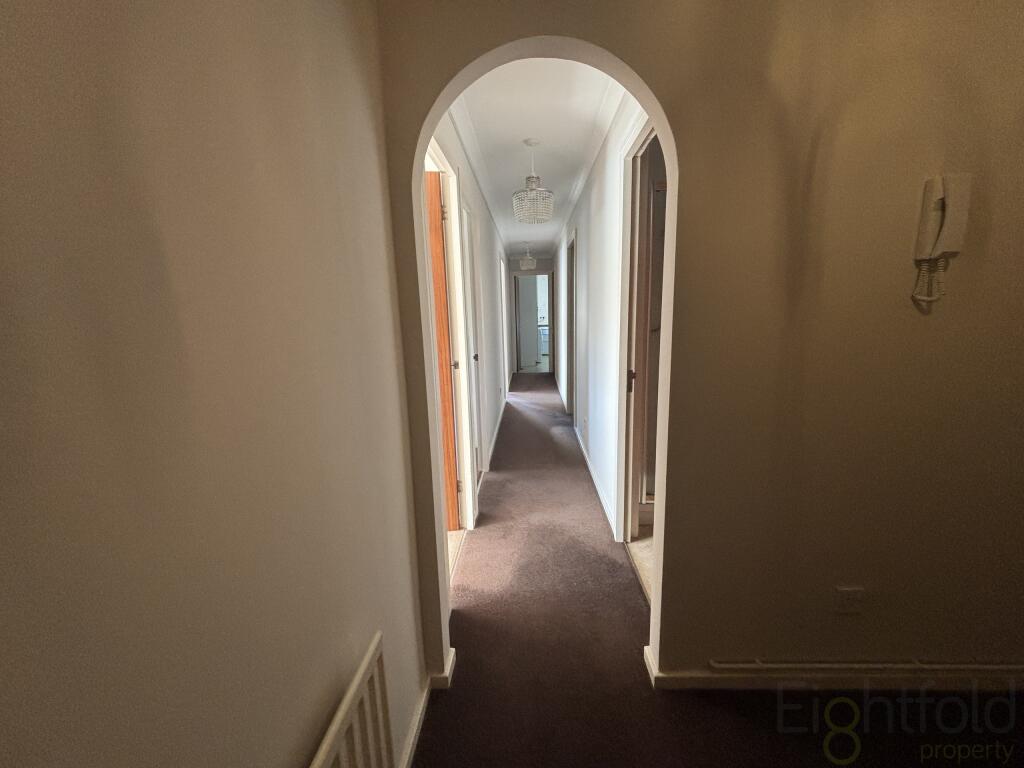 IMG_3196.jpeg