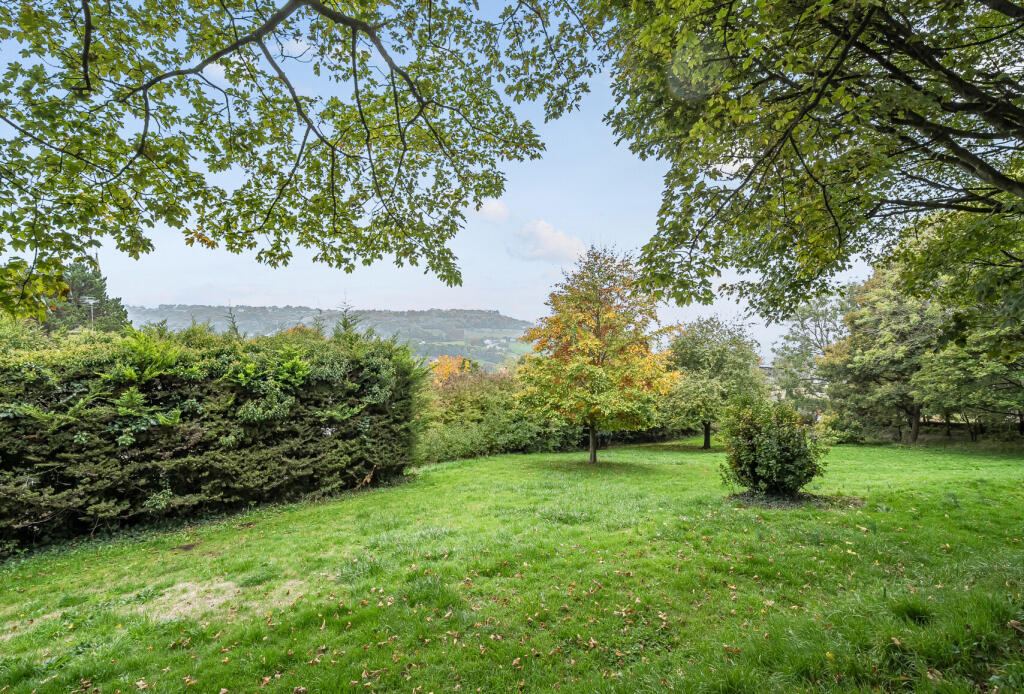 1365521-1-68ef6d3...