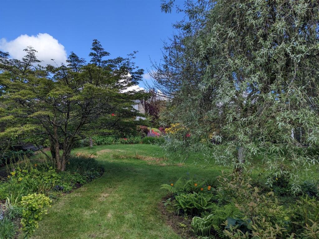 Vendor images (11).jpg