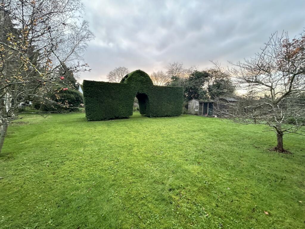 Garden 3