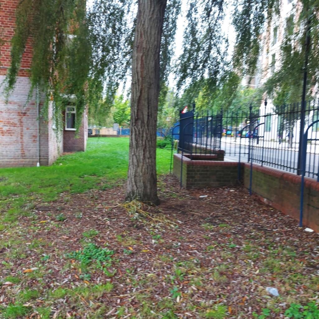 Image 7