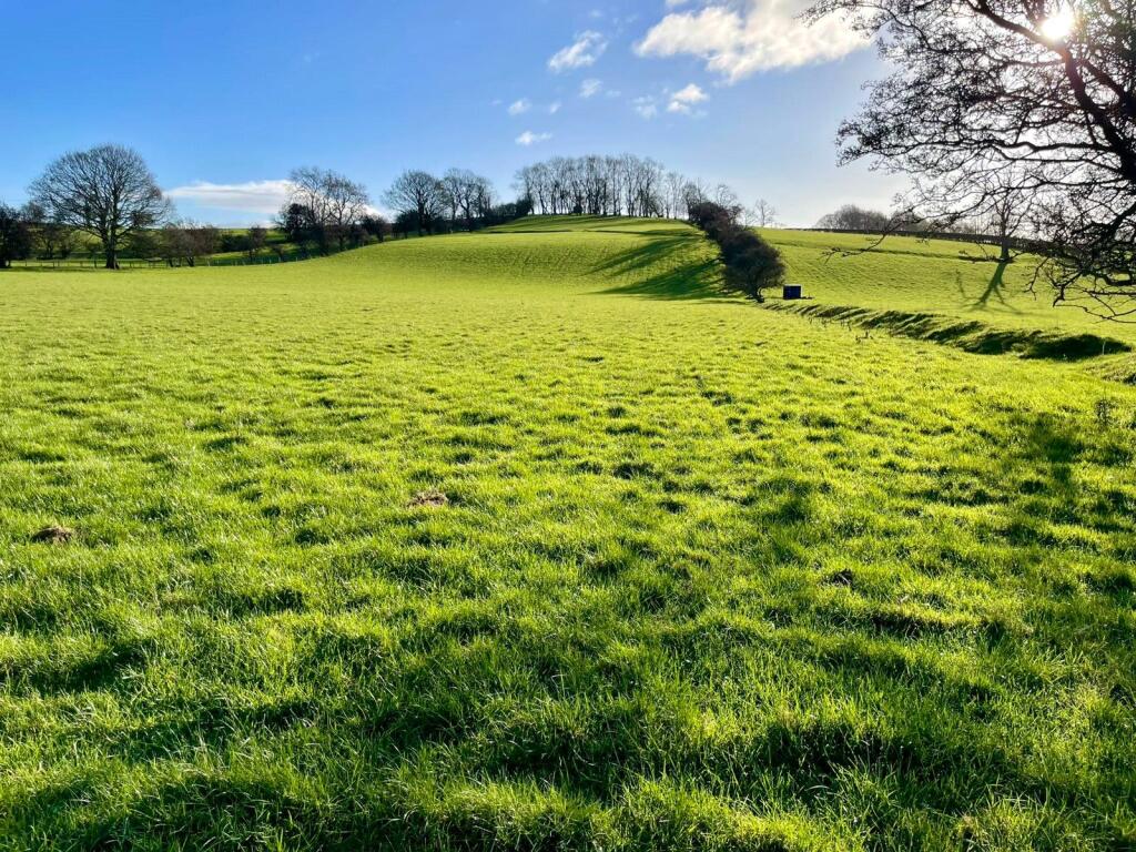 Land