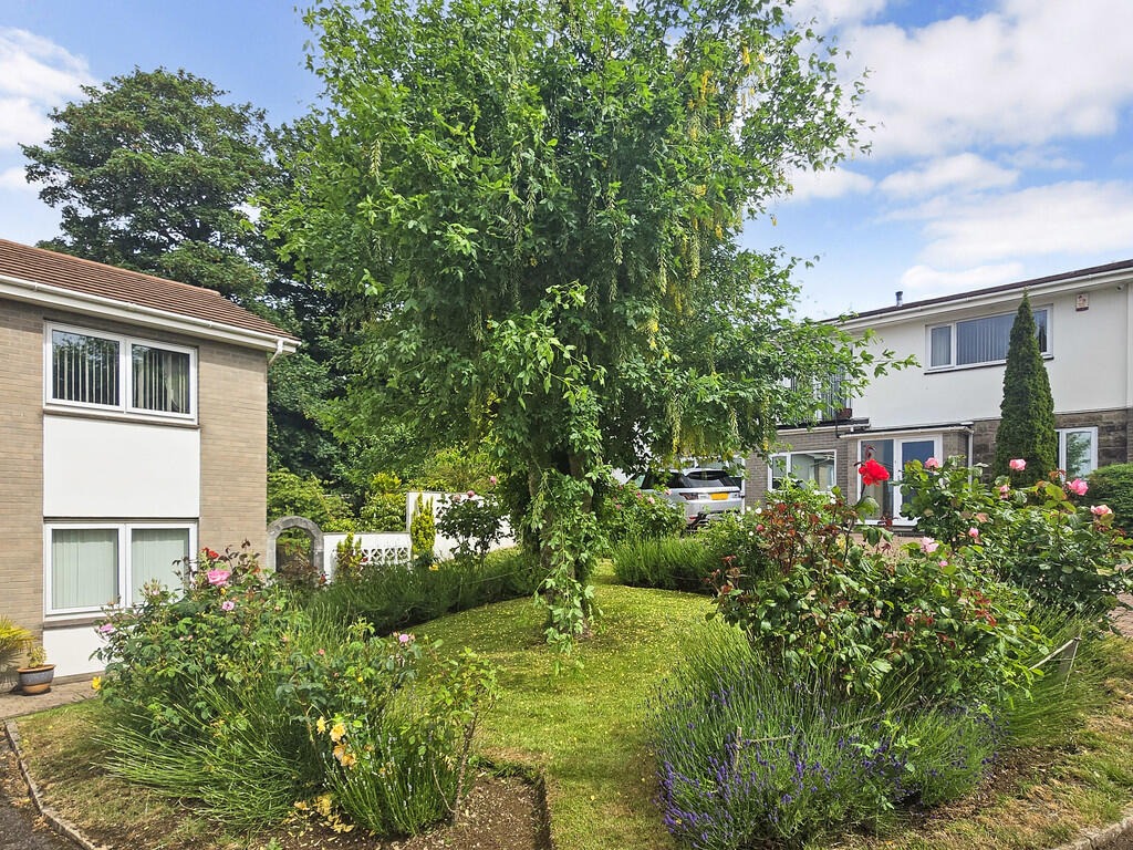 sketch_Ph4_598245...