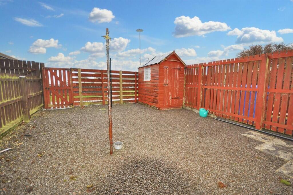 Back Garden
