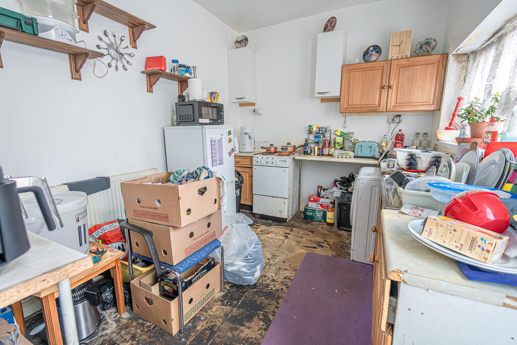 20250320-DSC03416...