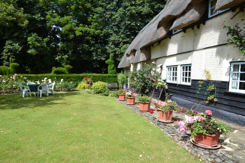 rear garden 2.JPG
