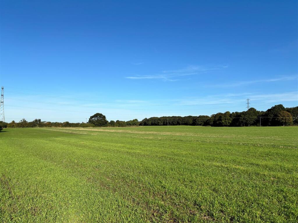 Photo 11-10-2024, 10 34 26.jpg