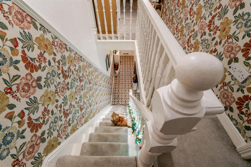 DSC00964 copy.jpg